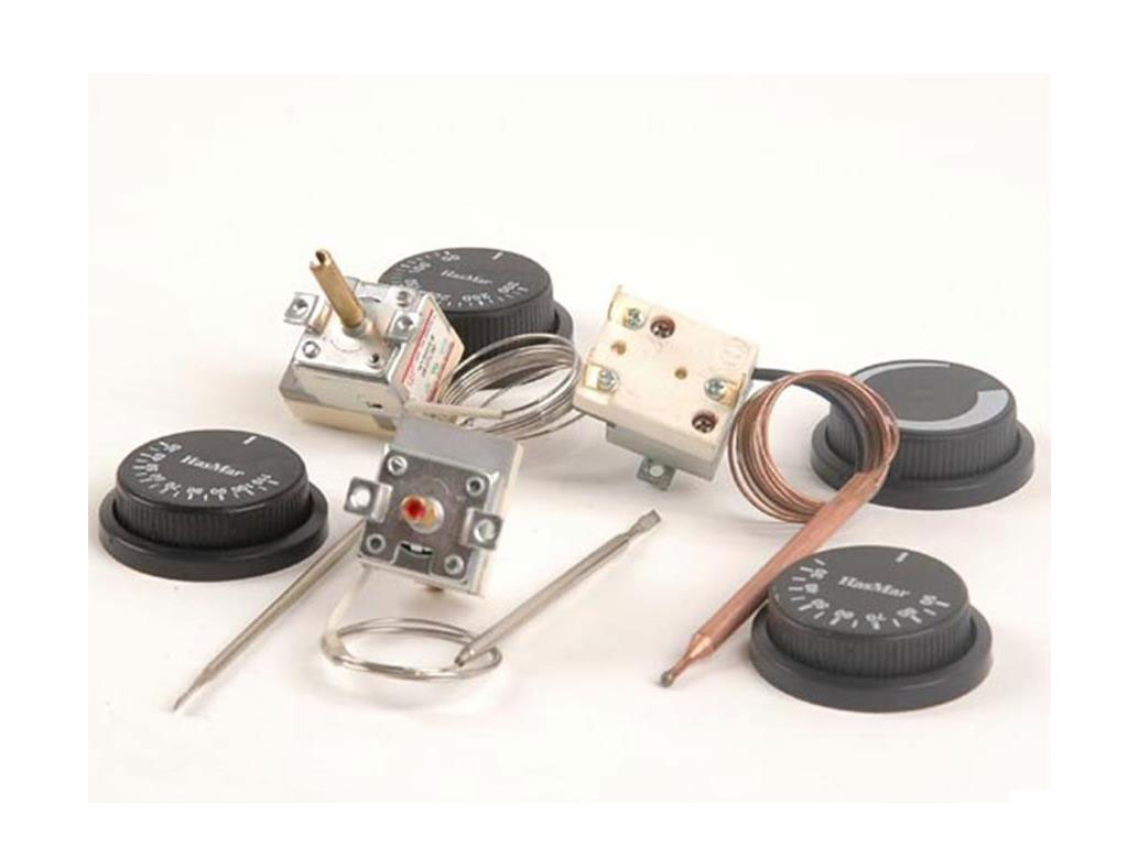 GAZLI KAPİLER TERMOSTAT WY40C-P